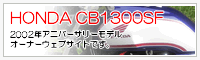 cb1300SFSP