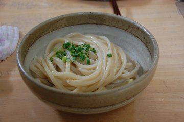 生醤油うどん（大）